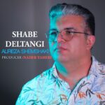 دانلود آهنگ علیرضا شمشکی شب دلتنگی